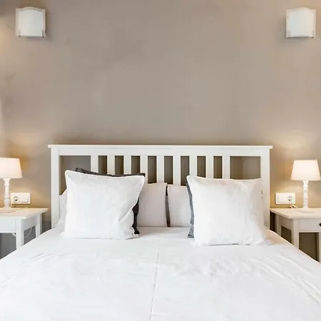 Apartment Revitalized In Historical Building