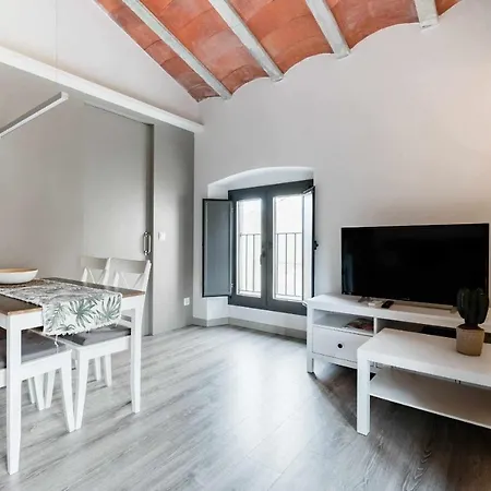Revitalized In Historical Building * Girona
