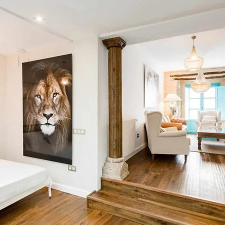 Revitalized In Historical Building Apartment Girona