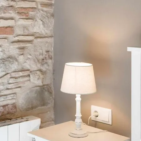 Revitalized In Historical Building Apartament Girona